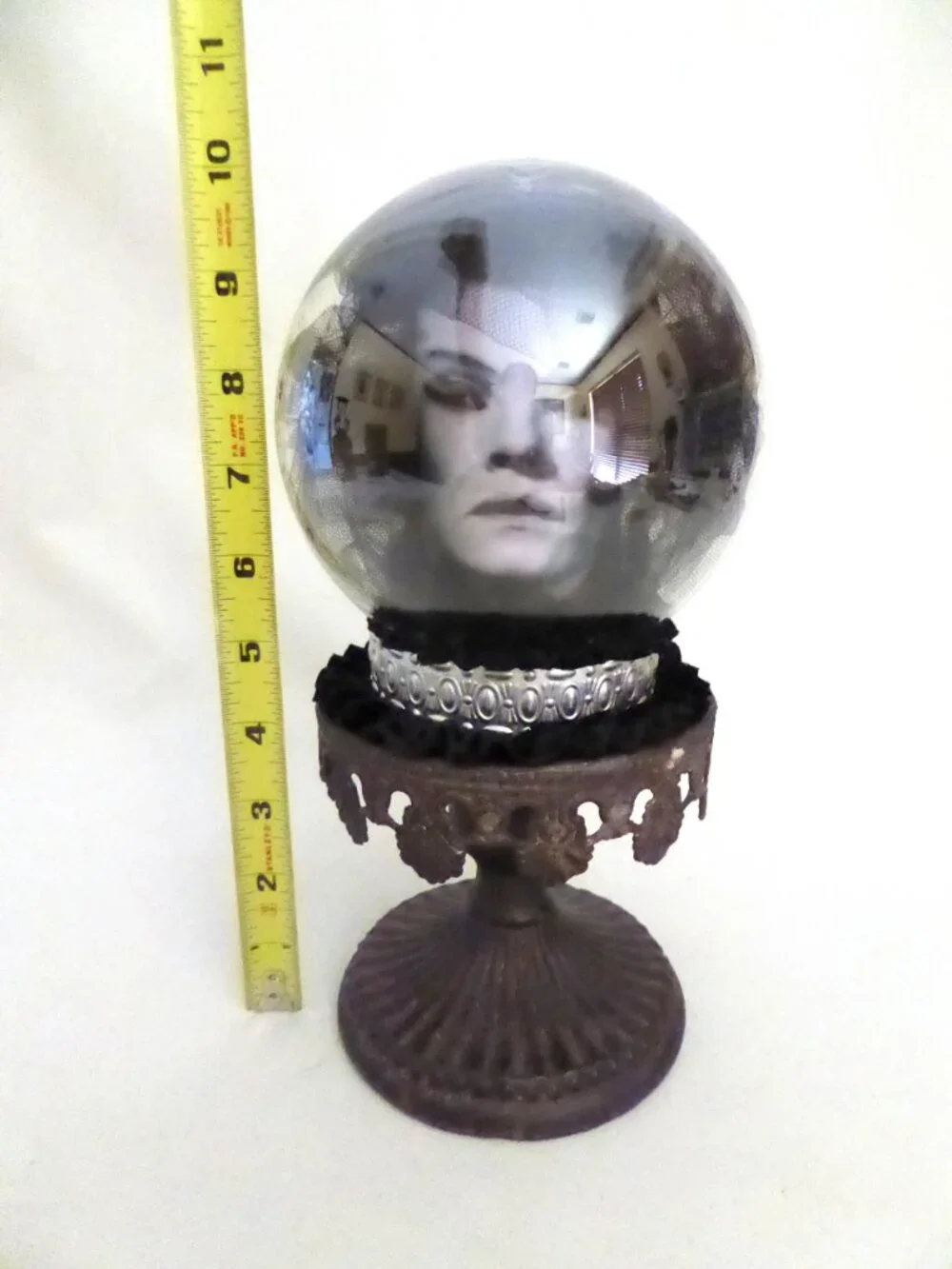 Cradle to Grave Curiosities new oddity